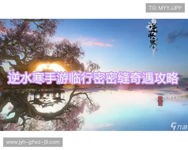 九游真人版全站登录安全指南，确保账号信息安全与顺畅体验